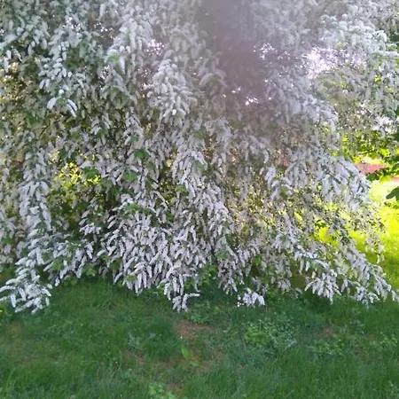 Le Clos Constance 3*