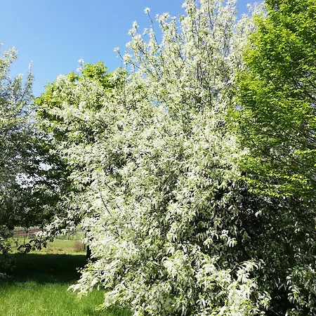 Penzion Le Clos Constance 3*